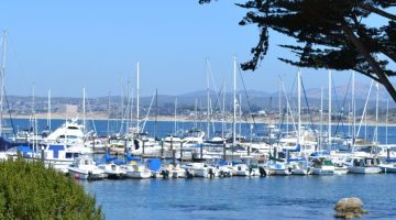 Monterey Harbor